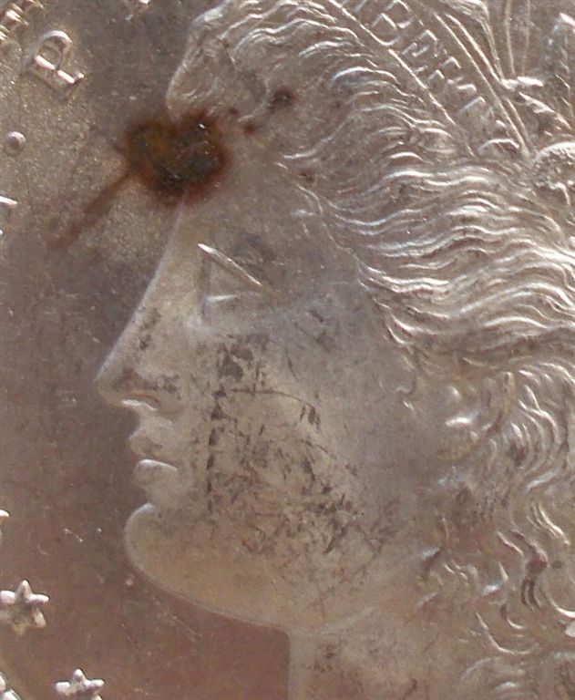 1885-Morgan---You-Vs.-PCGS